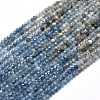 Natural Kyanite/Cyanite/Disthene Beads Strands G-D0013-06A-1