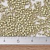 MIYUKI Delica Beads X-SEED-J020-DB1831F-4