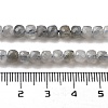 Natural Labradorite Beads Strands G-G140-C06-03-5