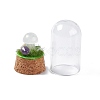 Natural Quartz Crystal Mushroom Display Decoration with Glass Dome Cloche Cover G-E588-03I-4