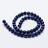 Natural Lapis Lazuli Beads Strands G-E465-8mm-01-2