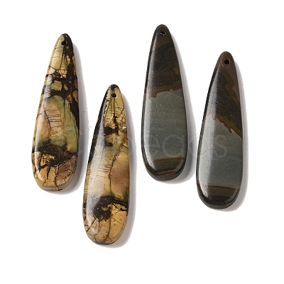 Natural Picasso Jasper Pendants G-Q161-08A-1