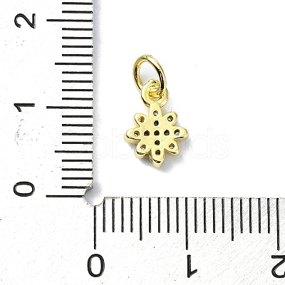 Brass Micro Pave Clear Cubic Zirconia Charms KK-H475-59G-07-1