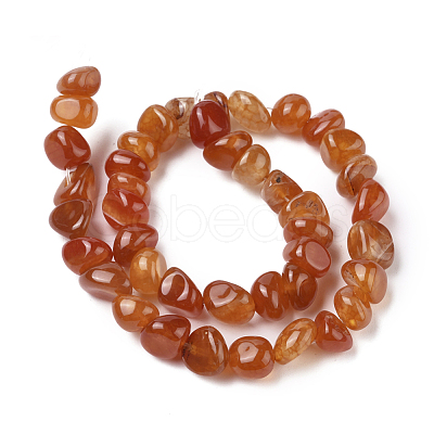 Natural Agate Beads Strands X-G-L560-M10-1