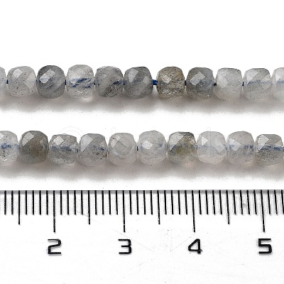 Natural Labradorite Beads Strands G-G140-C06-03-1