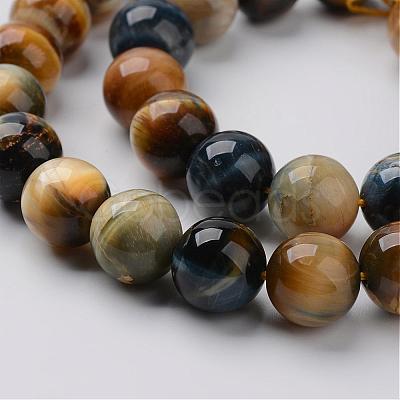 Natural Dream Tiger Eye Beads Strands G-G898-12mm-1