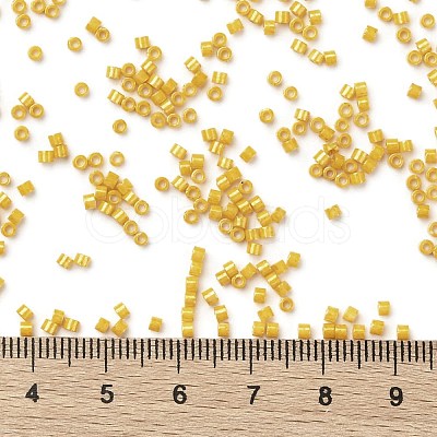 Cylinder Seed Beads SEED-H001-H22-1