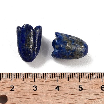 Natural Lapis Lazuli Beads G-A222-03I-1