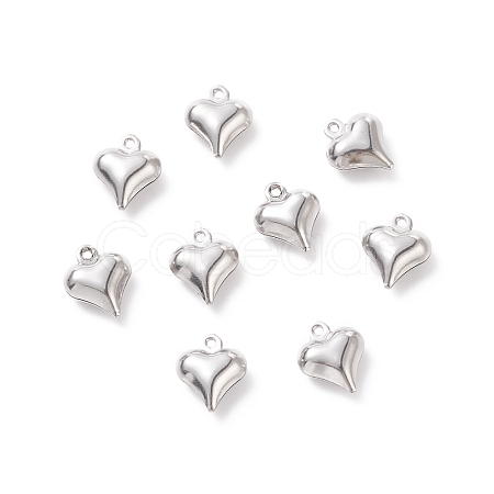 304 Stainless Steel Charms STAS-I138-11C-P-01-1