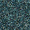 Glass Bugle Beads SEED-S032-09A-645-3