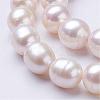 Natural Cultured Freshwater Pearl Beads Strands PEAR-P002-09-3