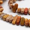 Natural Fossil Coral Beads Strands G-P171-03-3