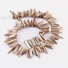 Natural Shell Beads Strands X-YPBB030-2