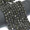 Natural Larvikite Beads Strands G-K389-A31-01-2