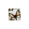 Butterfly Printed Glass Square Cabochons X-GGLA-N001-10mm-C-2