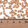 Transparent Czech Glass Seed Beads SEED-N004-005-C03-6