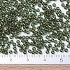 MIYUKI Round Rocailles Beads X-SEED-G007-RR0307-4