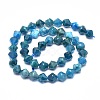 Natural Apatite Beads Strands G-F715-024-2