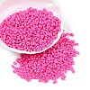 Baking Paint Glass Seed Beads SEED-T006-03Q-3