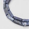 Natural Sodalite Beads Strands G-G968-D02-3