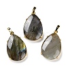 Natural Mixed Stone Pendants G-U002-01G-2