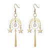 304 & 201 Stainless Steel Dangle Earrings EJEW-TA00437-1