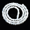 Natural Trochid Shell/Trochus Shell Beads Strands SSHEL-N034-122-B01-2