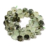 Natural Prehnite Beads Strands G-P534-A01-02-3