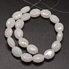 Electroplated Imitation Jade Glass Beads Strands EGLA-J107-E13-2