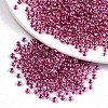8/0 Glass Seed Beads X1-SEED-A015-3mm-2209-1