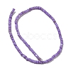 Dyed Natural Freshwater Shell Beads Strands BSHE-G039-07B-2