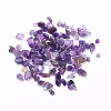 Natural Amethyst Chip Beads X-G-G714-01-1