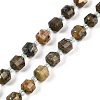 Natural Rhyolite Jasper Beads Strands G-O201B-122F-2