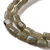 Natural Labradorite Beads Strands G-G085-A25-01-3