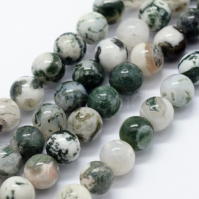 Natural Tree Agate Beads Strands X-G-I199-03-10mm-1