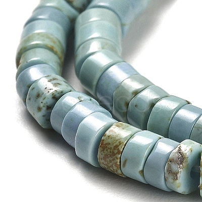 Natural Turquoise Beads Strands G-M422-C01-01-1