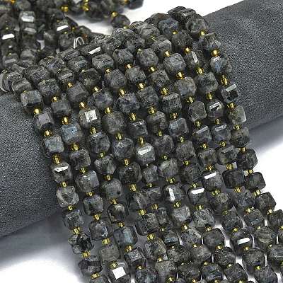 Natural Larvikite Beads Strands G-K389-A31-01-1