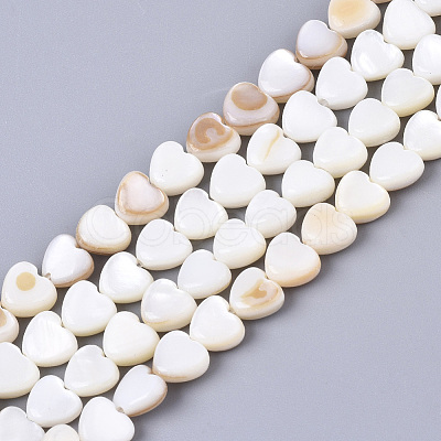 Natural Trochid Shell/Trochus Shell Bead Strands X-SSHEL-N034-66-1