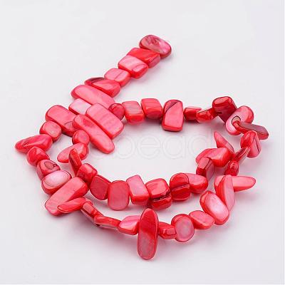 Natural Shell Bead Strands BSHE-P020-M-1