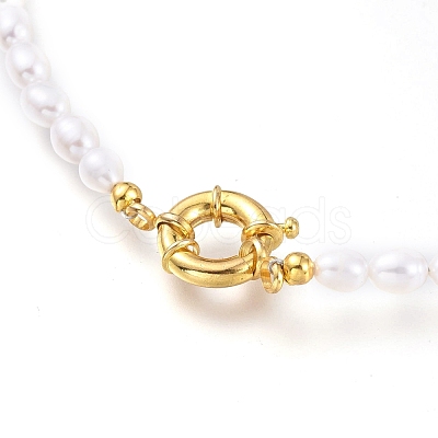 Natural Cultured Freshwater Pearl Beaded Necklaces NJEW-JN03100-1