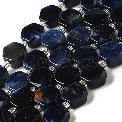 Natural Sodalite Beads Strands G-P534-A11-01-1