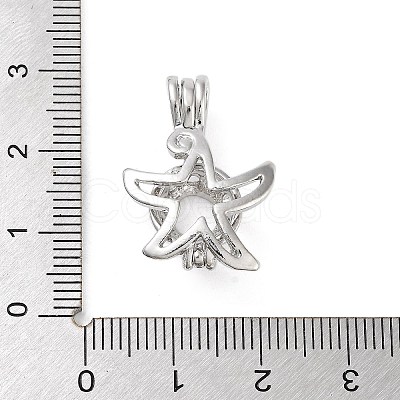 Alloy Bead Cage Pendants FIND-M012-01B-P-1