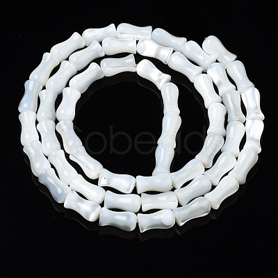 Natural Trochid Shell/Trochus Shell Beads Strands SSHEL-N034-122-B01-1