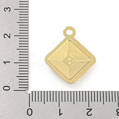 Ion Plating(IP) 304 Stainless Steel Pendants STAS-I307-570G-1