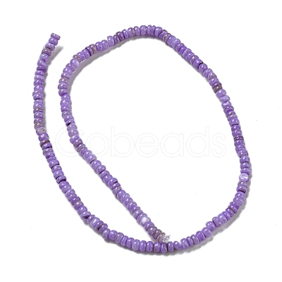 Dyed Natural Freshwater Shell Beads Strands BSHE-G039-07B-1