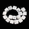 Natural Howlite Beads Strands G-T138-157-2