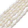 Natural Cultured Freshwater Pearl Beads Strands PEAR-J006-05A-1