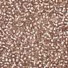 TOHO Round Seed Beads X-SEED-TR11-0031F-2