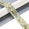 Natural New Jade Beads Strands G-K362-I02-01-2