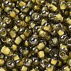 Transparent Inside Colours Glass Seed Beads SEED-H002-A-C202-3